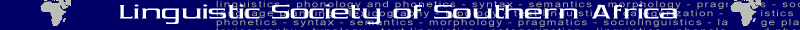 LSSA banner - non-index page