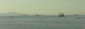 small_boats_gathered_landing.jpg (11180 bytes)
