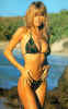 claudia42.jpg (40456 bytes)