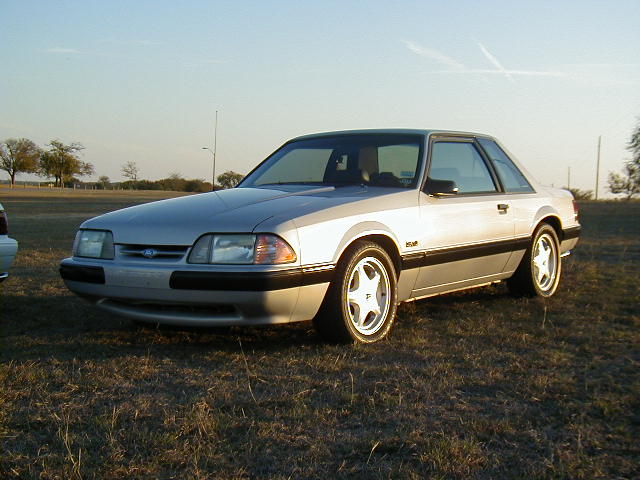 PB140003.JPG