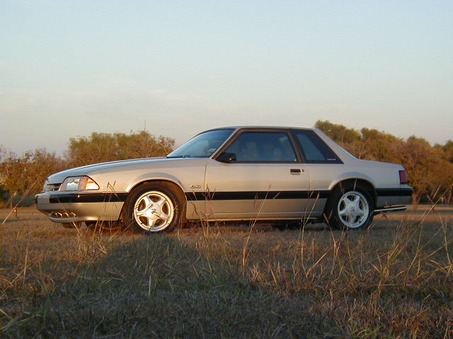 PB140016.JPG