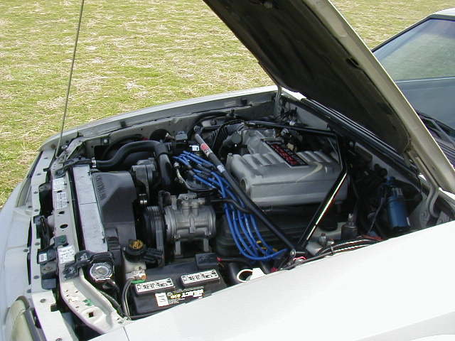 Photo004.jpg
