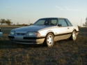 thm_PB140003.jpg