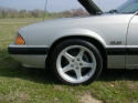 thm_Photo006.jpg