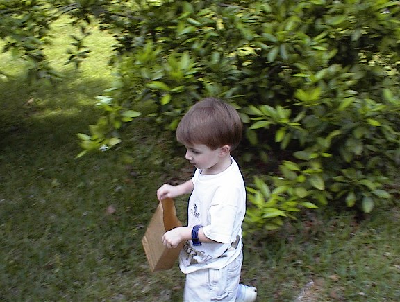 Brandon looks for eggs . . .