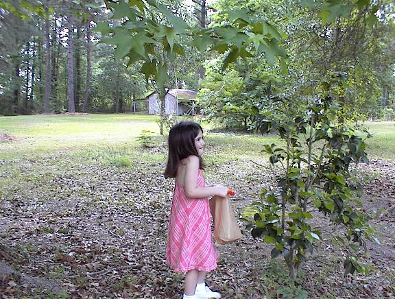 Brooke finds an egg in a tree!