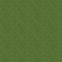 ct4.jpg (4541 bytes)