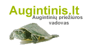 Augintini? prie?i?ros vadovas