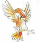 017...Pidgeotto.jpg (5779 bytes)