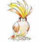 018...Pidgeot.jpg (5572 bytes)