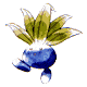 043.gif (1864 bytes)