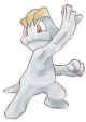 066...Machop.jpg (4823 bytes)
