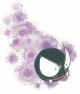 092...Gastly.jpg (3701 bytes)