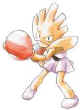107...Hitmonchan.jpg (5276 bytes)