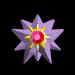 Starmie.jpg (9578 bytes)