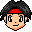 hg.gif (335 bytes)