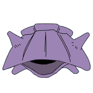 shellder.gif (40289 bytes)
