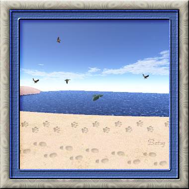 Foot Steps in the Sand