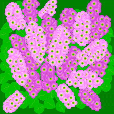Lilac Bush
