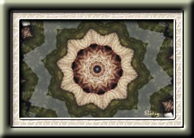 Geese Kaleidoscope