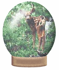 Baby doe