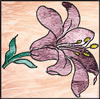 Easter Lilly