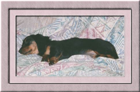 Betsy