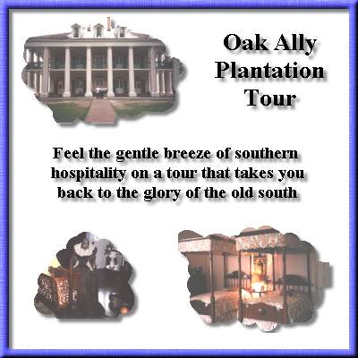 Oak Ally Plantation