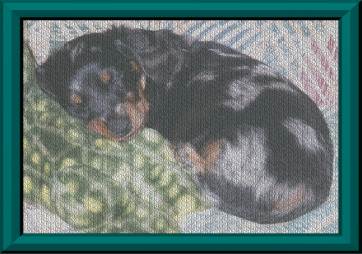 Rex
