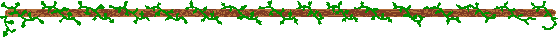 leaf bar