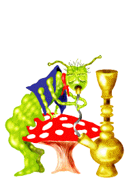 I'm so high off this hooka! I'm not the guy from Alice ok! OK! Just smoke some herbs with me!