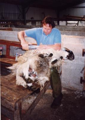 John clipping