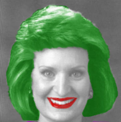 Dianna Booher