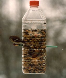 feeder1.jpg - 14693 Bytes