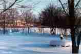 Winter Storm '99