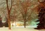 storm03a.jpg - 2392 Bytes