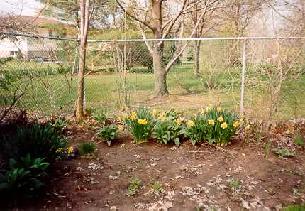 Area 1 - May 1998