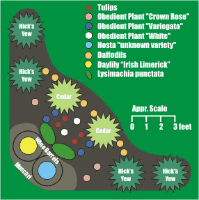 Lasagna Bed planting diagram