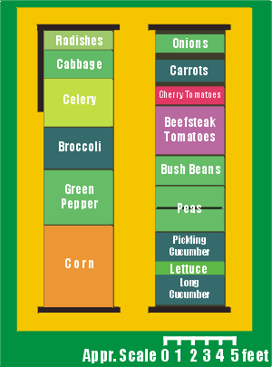 The Veggie Beds