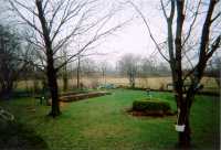 The Veggie Beds - after first planting