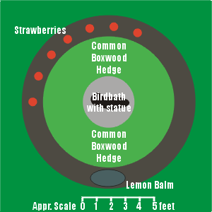 The Center Hedge planting diagram