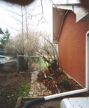 An early season view