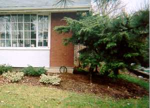 area9_1.jpg - 12323 Bytes