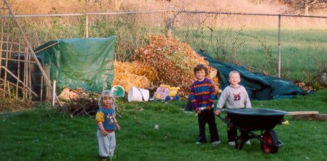 Compost bin, woodpile, and compost pile