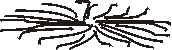 daffodil1.gif - 692 Bytes