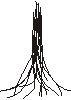daffodil2.gif - 593 Bytes