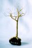 wiretree2a_th.jpg - 1970 Bytes