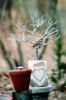 Small Outdoor Tree