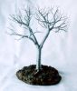 Table Tree
