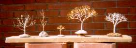 Sculpted Wire Trees